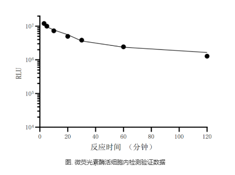 一个受体，千种可能：GPCR如何成为跨界“靶点”？
