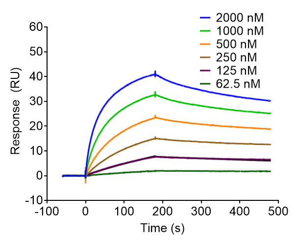 1776219089203953.jpg 6.jpg